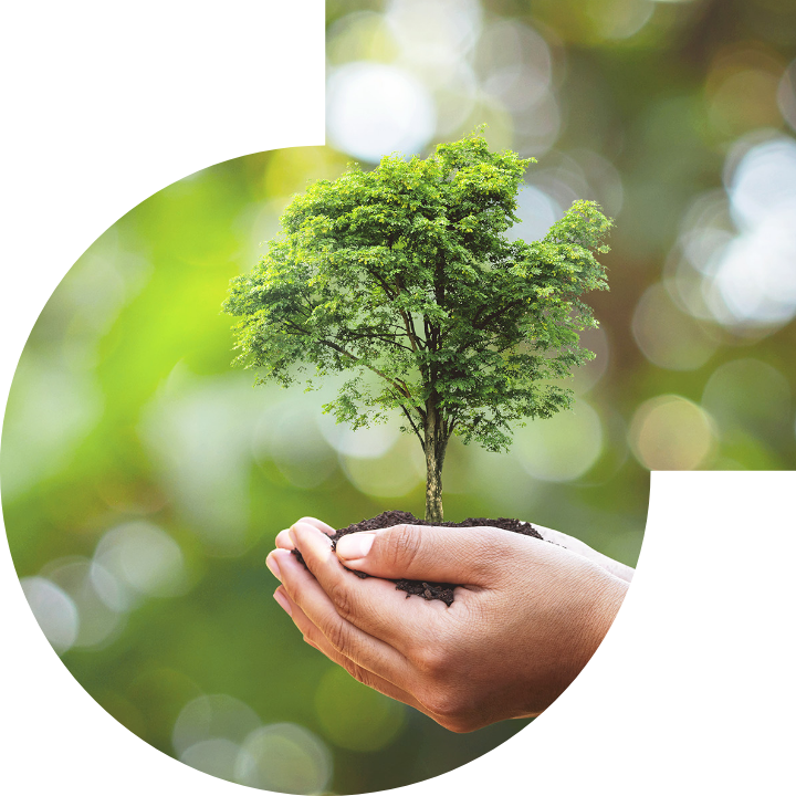 关怀人类、文化、环境与社会